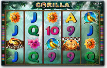 Novoline Gorilla Spielautomat