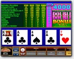 Double Double Bonus Video-Poker