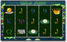 Merkur Wild Frog