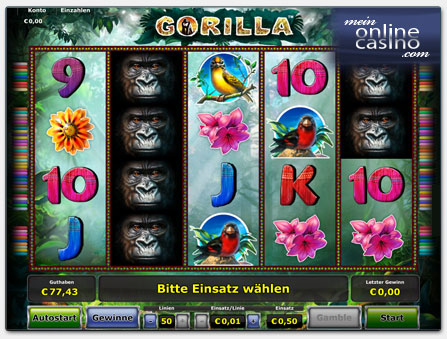 Novoline Gorilla Spielautomat