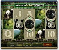 Untamed Giant Panda Video-Spielautomat von Microgaming