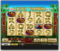 Playtech Lucky Panda Video-Slot